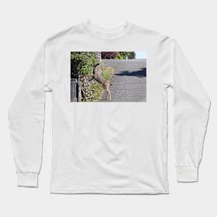 850_2441 Long Sleeve T-Shirt